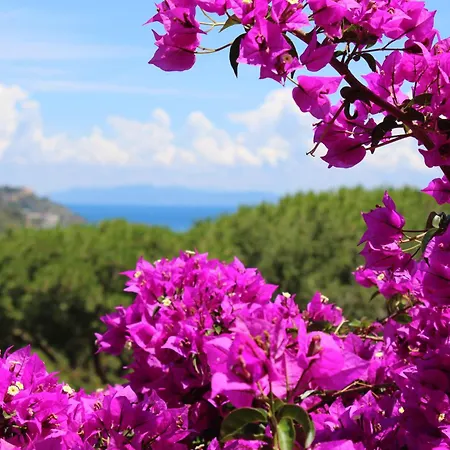 Casa vacanze C'era Volta Frantoio *