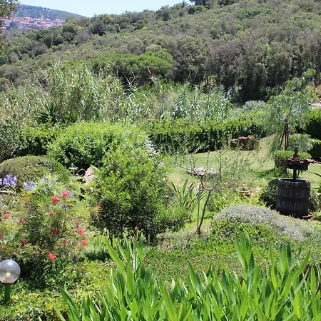 C'era Volta Frantoio Casa vacanze *